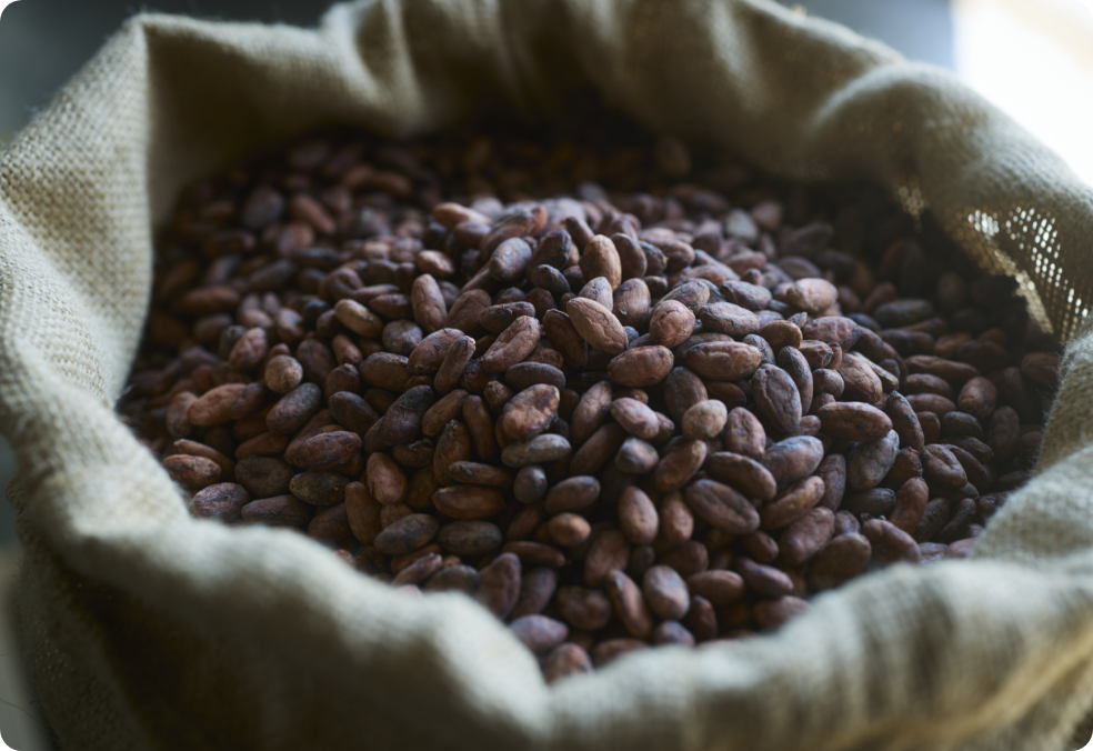 Fermentation Process